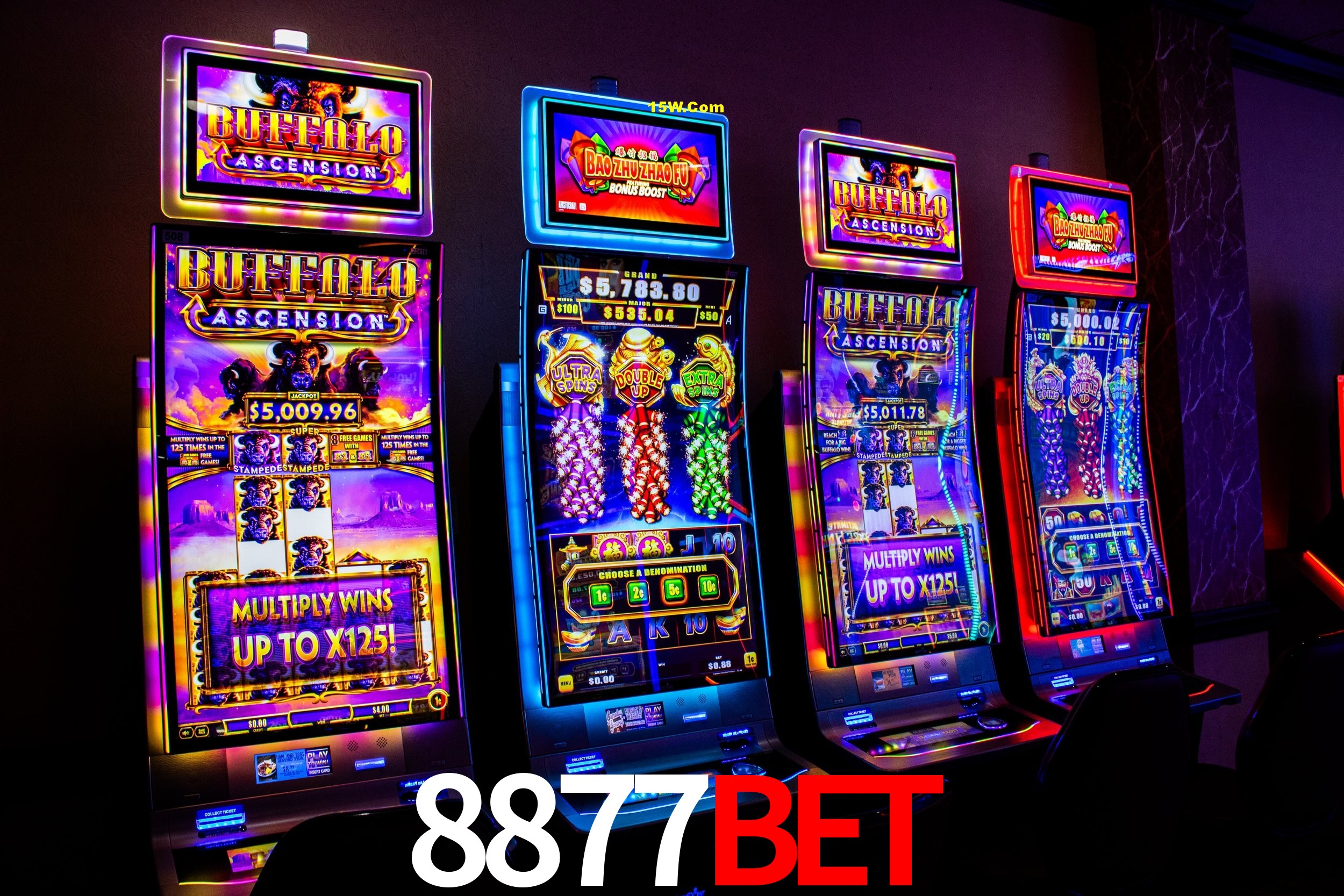 Statistics 8877Bet
